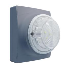 11-1310GPW-S, Identifire Pro VID Only, Grey, Shallow Base, White, Single