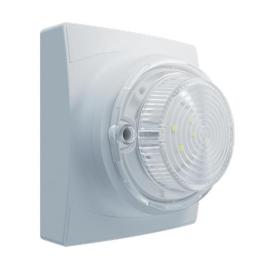 11-1310WSW-S, Identifire Pro VID Only, White, Surface Mounted, White, Single