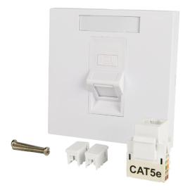 70450PI, Faceplate with Single Angled Cat5e RJ45 Keystone Socket - 86 x 86mm