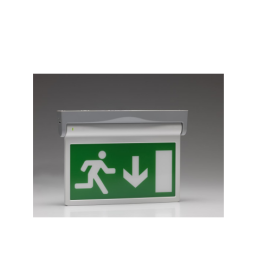 Advanced (ESXL/ECAU) Standard 3 Hour Maintained Escape Sign Complete with Arrow Up EC Format legend