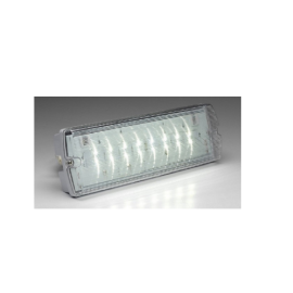 Advanced (RLED/NM3/P/FR) Mor-LED IP65 Bulkhead, Surface Mount, Non-Maintained, Addressable