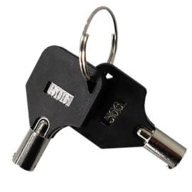 AES (TL-KEY) Tomalok Set of Keys (2)