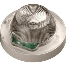 Apollo (55000-878APO) XP95 Open-Area VID - White Body (Red Flash)