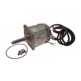 CAME (Old Part: 119RIA088) Motor Unit - FROG - A24E