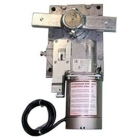 CAME (Old Part: 119RIG333) Gear Motor For G4040Z Version 2