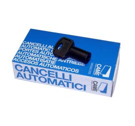 CAME (Old Part: 119RIY077) BOX OF 10 - Plastic Release Keys