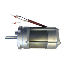 CAME (Old Part: 88001-0138) Amico  motor and brake 230v