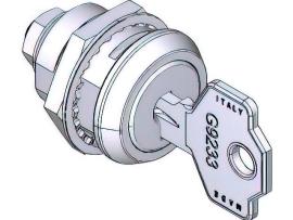 CAME (Old Part: 88003-0080) GT4 door barrel lock and key