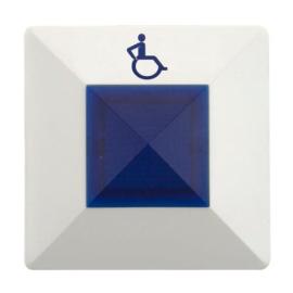 Cooper (CFEAODI)  Emregency Assist Over Door Indicator