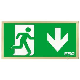 D120DBR, Duceri Emergency Surface Exit Box 3W LED IP20 Down Legend Lithium Battery Maintained Brass