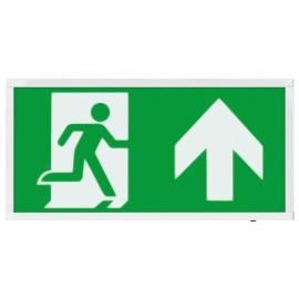 D120SUWH, Duceri Emergency Surface Exit Box 3W LED IP20 Up Legend Lithium Battery Switchable Self-Test White
