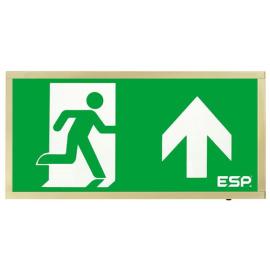 D120UBR, Duceri Emergency Surface Exit Box 3W LED IP20 Up Legend Lithium Battery Maintained Brass