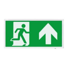 D120UWH, Duceri Emergency Surface Exit Box 3W LED IP20 Up Legend Lithium Battery Maintained White