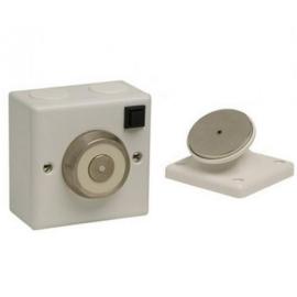 DH/BFS/24, Brass Flush Mount Door Holder + switch 112N 24Vdc