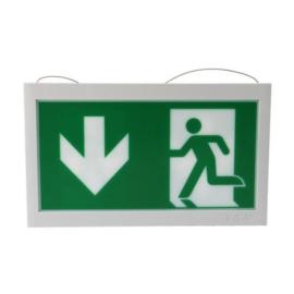 Eaton (40071354511) LED-pictogram D/D for GuideLed 10x25/10x26  (wire suspension), ISO 7010, 20 m