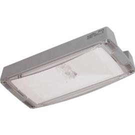 Eaton (40071354866) Atlantic LED LT R CG-S, IP65 / IK10, for low temperatures (to -40?C), with asymmetric optics
