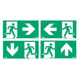 Eaton (FT2ED4ICGS) FlexiTech, Exit Dual 20m CG-S