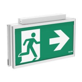 Eaton (FT3EC4ICGSIP) FlexiTech Exit Ceiling 30m CG-S IP