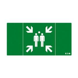 Eaton (NEXI-PICTO-MP) PICTO ISO7010-E007 SS NEX 20M