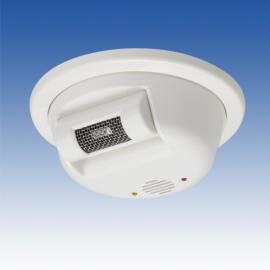 FS-2000E, 10m / 7cm Flame, Adjustable Sensor Head