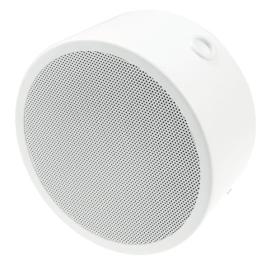 PAVA, EST-SW176, PAVA-CW SPK 6W, 100V, diam 17cm