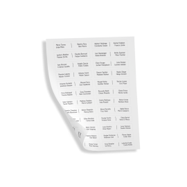 UT9110, ULTRA NAMEPLATE LABEL SHEETS