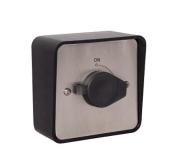 WP-KS-2, Covered Keyswitch fitted in a Stainless Steel plate Latching (Momentary Double Pole) gallery thumbnail