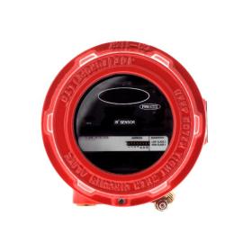 Ziton, FF746N, TALENTUM FLAME DET IR2(EXD)