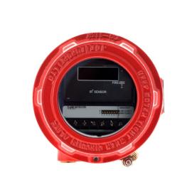 Ziton, FF766N, TALENTUM FLAME DET IR3 (EX D)